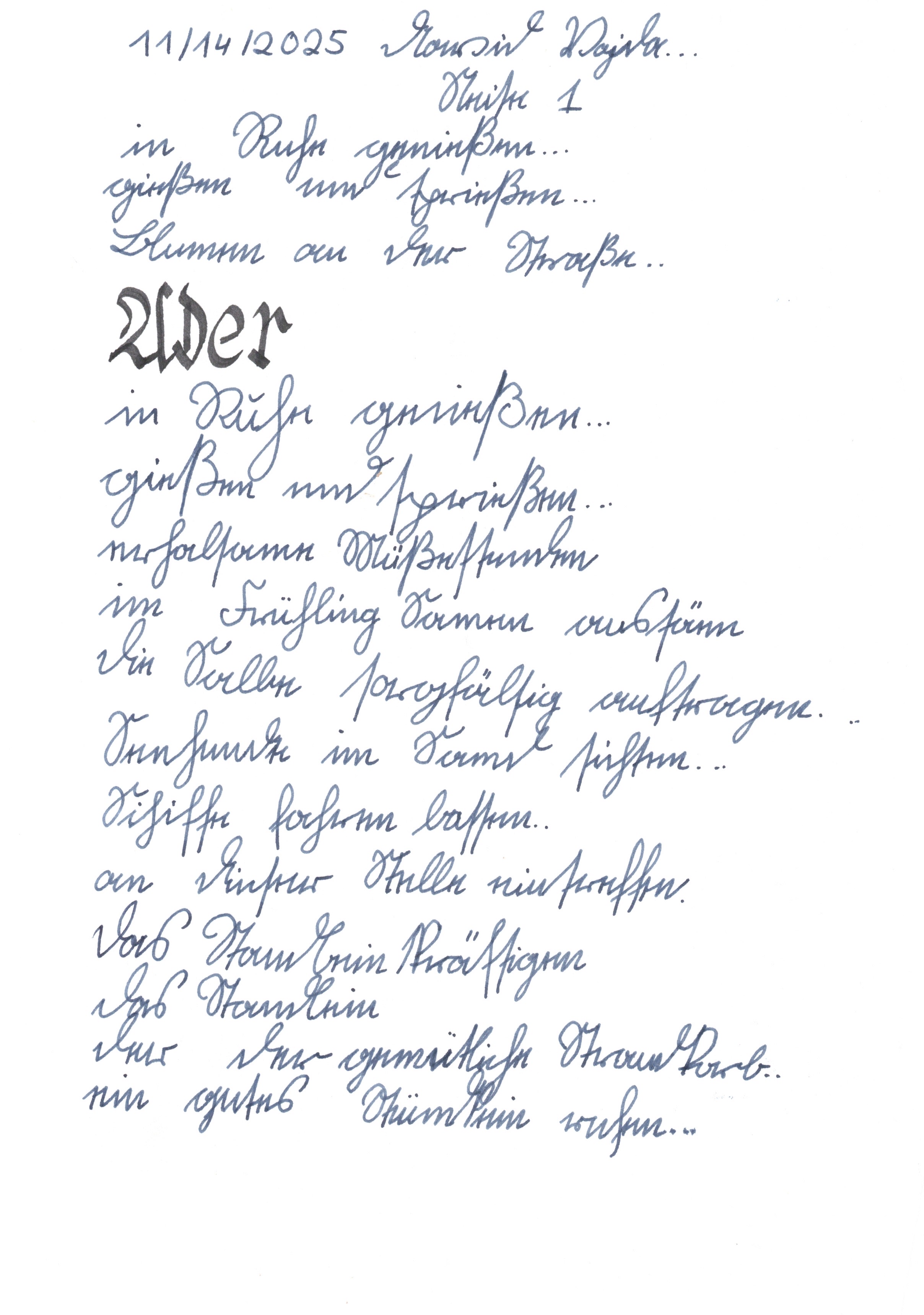 Image 202511301937_36